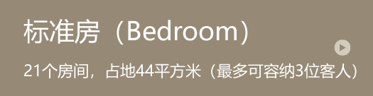 オリジナルルーム（洋室） 21间客房，面积44平方米（最多可容纳3位客人）